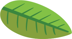 Hoja fondo 2