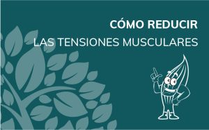CO_DESIN_MUSCU_04